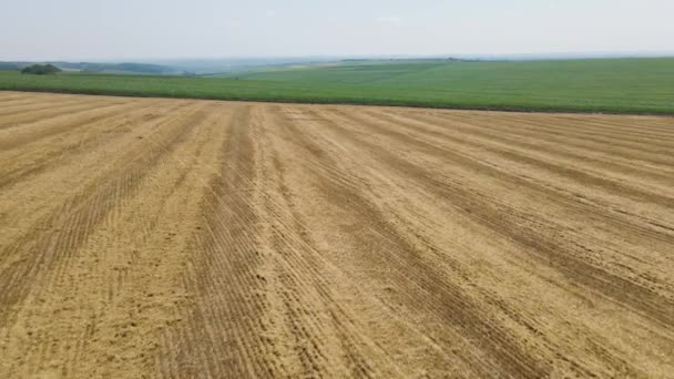 Visão aérea de um campo de trigo depois de uma colheita — Vídeo de Stock