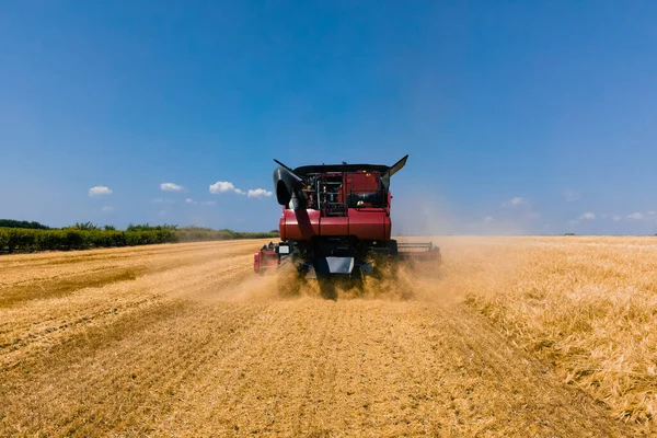 Combinare raccoglitore macchina agricola raccogliendo grano maturo dorato sul campo. — Foto Stock