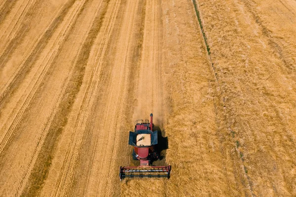 Von oben der landwirtschaftliche Mähdrescher erntet Weizen auf dem Feld — Stockfoto