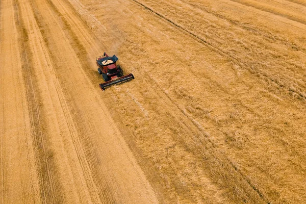 Vista aerea del raccolto del grano. Drone colpo sorvolando mietitrebbie che lavorano sul campo di grano. — Foto Stock