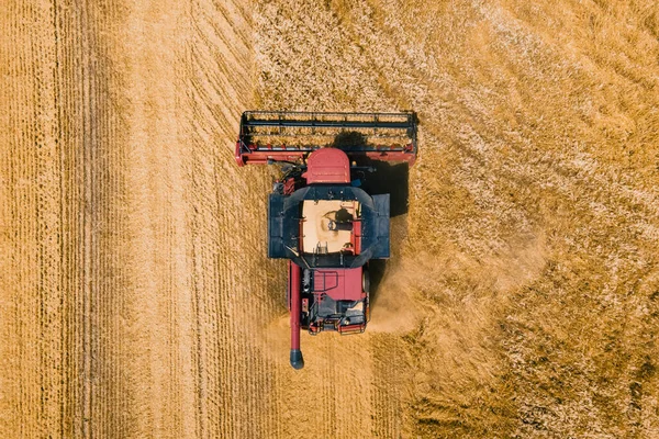 Buğday tarlasını hasat eden tarım makinesinin havadan görünüşü. — Stok fotoğraf