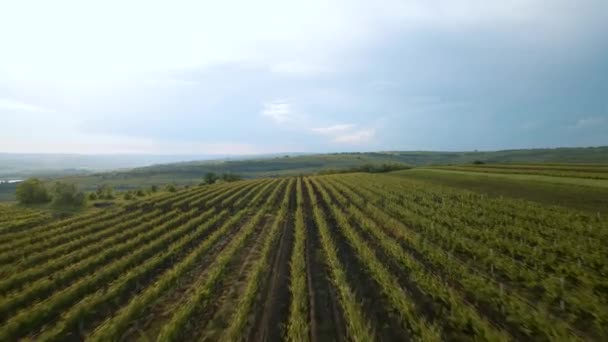 Veduta aerea della campagna francese Belle fattorie e vigneti epica 4K. — Video Stock