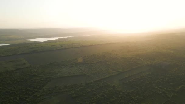 4K luchtfoto van de drones vlucht over het platteland met bomen en landbouwhoofden — Stockvideo