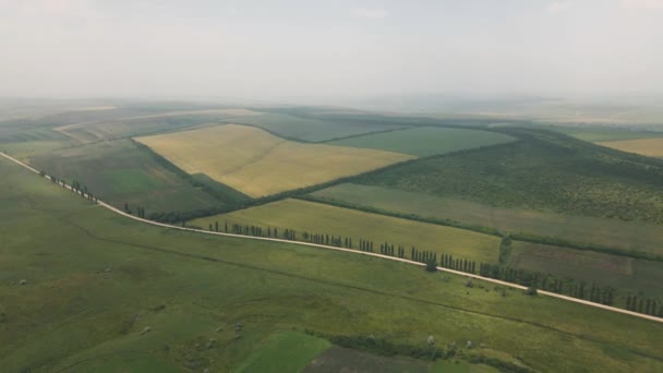 Vista aérea del campo agrícola verde brillante y amarillo y el camino de tierra a través del país — Vídeos de Stock