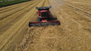 Buğday tarlalarında hasat sırasında çalışan insansız hava aracı.