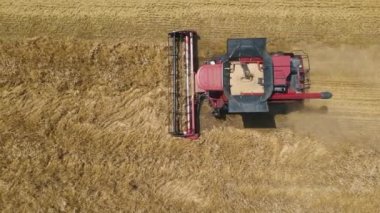 Tarım sektörünün yukarısından yazın buğday hasadını birleştirin. 