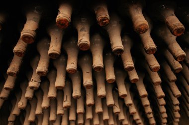 Bir sürü eski şarap şişesi tozla kaplı.