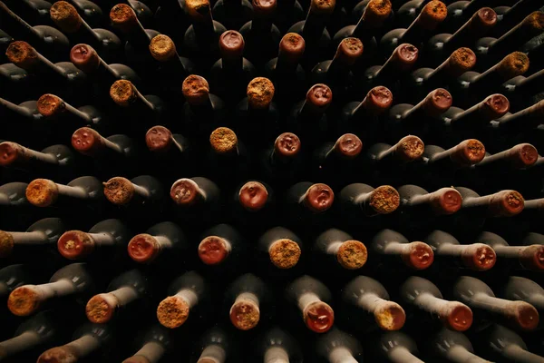 Bouteilles de vieux vin dans des caves poussiéreuses — Photo