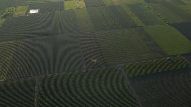 Vzdušný pohled shora na pole zemědělství na venkově v jarním dni. — Stock video