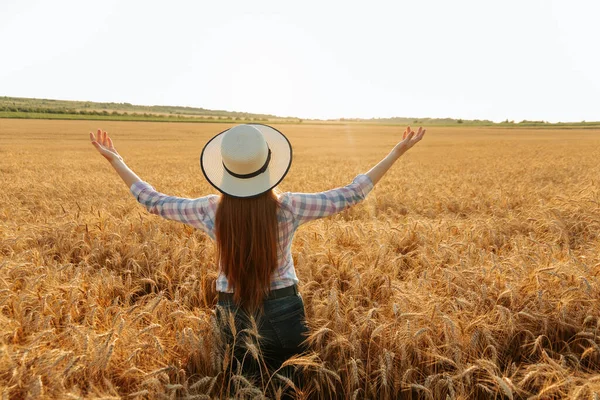 Bakifrån av kvinnlig bonde med hatt på huvudet i gyllene vetefält vid solnedgången. — Stockfoto