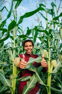 Afrikalı Amerikalı çiftçi kameraya bakıyor ve mısır tarlasında başparmağını gösteriyor.