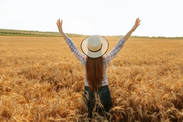 Vista trasera de la agricultora con sombrero en la cabeza en el campo de trigo dorado al atardecer. —  Fotos de Stock