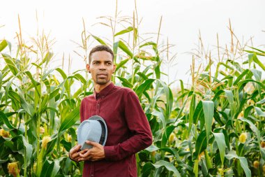 Mısır ekinleriyle tarlada şapkalı genç çiftçi