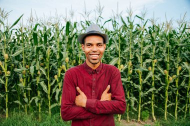 Neşeli erkek Afrikalı çiftçi ve girişimci mısır tarlasında kollarını kavuşturup kameraya gülümsüyor.