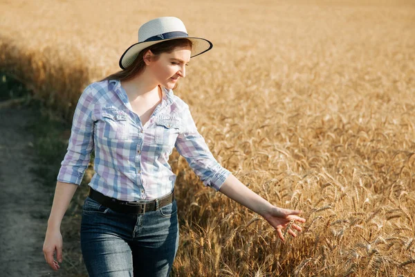 young woman farmer in wheat field examining crop at sunset