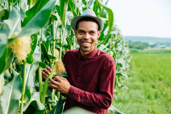 Retrato de un joven agricultor afro americano feliz parado en el campo de maíz examinando el maíz — Foto de Stock