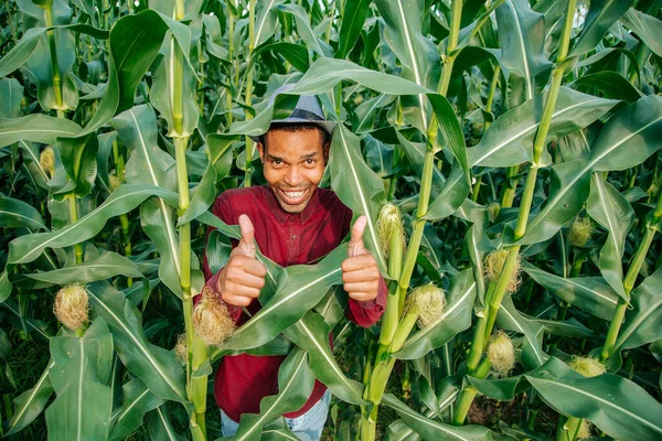 Farmer is successful showing thumbs up. — Stock Photo, Image