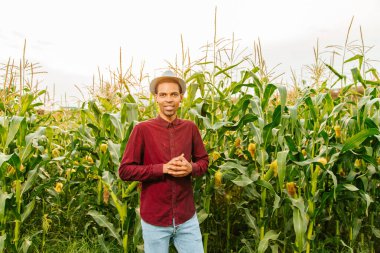Yakışıklı erkek Afro-Amerikan modern çiftçi ve girişimci mısır tarlasında poz veriyor ve kameraya gülümsüyor.,