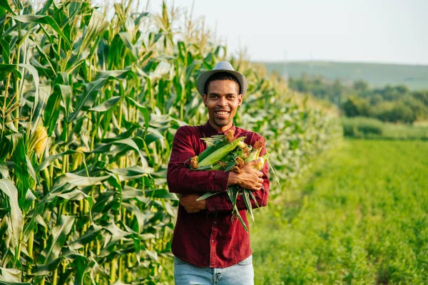 Šťastný muž afro farmář dívá na kameru a drží kukuřičný klacek v náručí — Stock fotografie