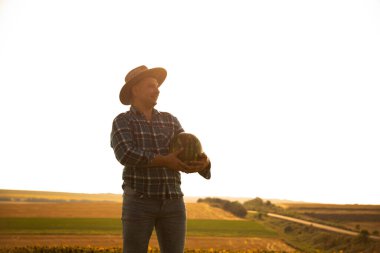 Güneşli bir yaz gününde tarlada iki karpuz ve bir çiftliğin silueti..