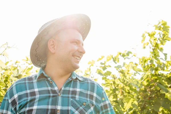 Вид збоку портрет винороба з капелюхом, що стоїть у виноградниках — стокове фото