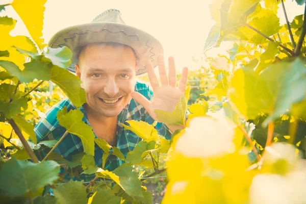 PORTRAIT WINNING FARMER MAN в сонячний літній день , — стокове фото