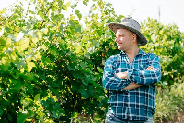 Serio agricoltore moderno e giovane con cappello, cantina e viticoltore — Foto Stock