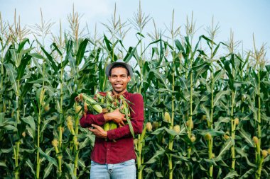 Neşeli genç siyah çiftçi kameraya bakıyor ve mısır topluyor..
