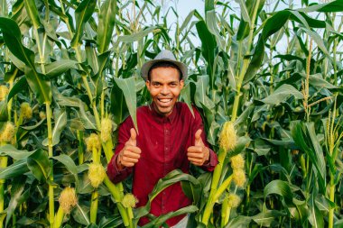 Mısır tarlasında şapkalı mutlu çiftçi başparmağını kaldırıyor.