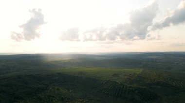 Yağmur ormanlarının üzerindeki güneşin doğuşunu gösteren hava manzarası.