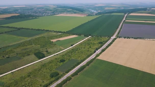 Vista aérea 4k video de la carretera que cruza los campos con diferentes cultivos — Vídeo de stock
