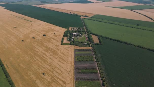 Drone aéreo tiro de casa de fazenda entre campos verdes no campo britânico — Vídeo de Stock