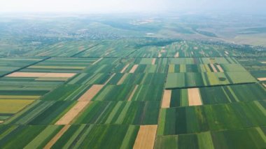 farklı ekinlerle tarımsal alanlardaki geometrik figürlerin havadan görünüşü