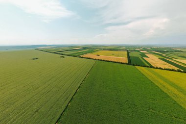 Tarım alanlarının en üst hava manzarası.