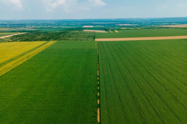 Tarım alanlarının en üst hava manzarası
