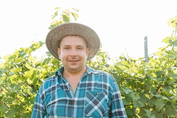 Vigneto con viti. uomo viticoltore caucasico è felice. — Foto Stock