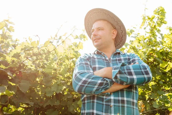 Молодий білий винороб з капелюхом у винограднику зі схрещеними руками — стокове фото