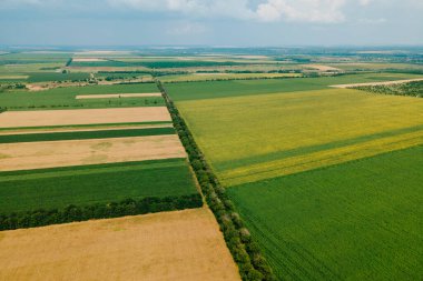 Tarım alanlarının en üst hava manzarası