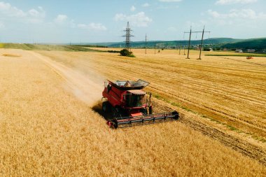Buğday hasatçısının yaz mevsiminde buğday hasadı topladığı hava manzarası..