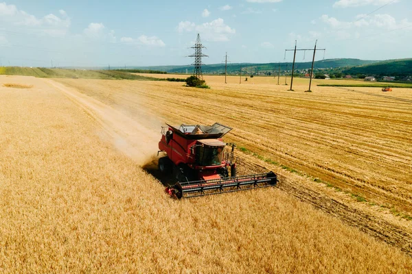 Buğday hasatçısının yaz mevsiminde buğday hasadı topladığı hava manzarası..