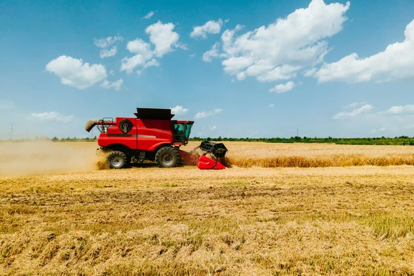 Combinare mietitrebbie raccogliere grano su un campo giallo. Raccoglitore operante sul campo. — Foto Stock