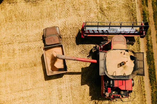 Concetto di raccolto del grano. vista aerea Combinare carico grano grano nel rimorchio camion — Foto Stock