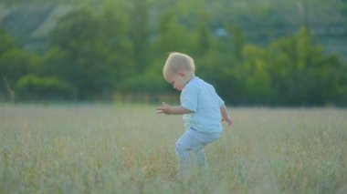 Küçük bir çocuk sakince bir tarlada yürüyor, uzun otlara dokunuyor ve keşfediyor. Bu arada doğada huzur ve çocuksu bir ilgi görüyor..