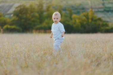 Meraklı bir çocuk açık bir alanda uzun otları keşfeder, yavaşça yürür ve odaklanır, huzurlu bir yaz öğleden sonrasında etrafındaki doğal dünyaya dalmıştır..