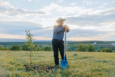 Kareli gömlekli ve kovboy şapkalı yaşlı çiftçi diktiği bir fidanın yanında duruyor, alacakaranlıkta ufka bakıyor, mirası ve özeni simgeliyor..