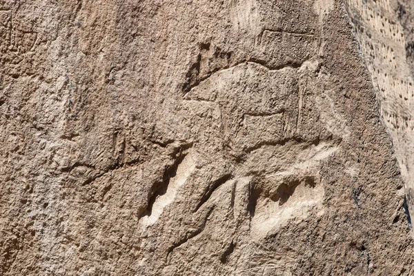 Qobustan förhistoriska hällristningar rock-målning i Azerbajdzjan — Stockfoto