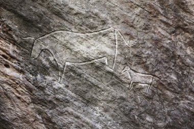 Kobustan Rayonu baktıkları petroglifler rock-resim, Azerbaycan