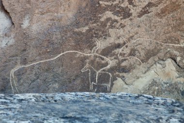 Kobustan Rayonu baktıkları petroglifler rock-resim, Azerbaycan