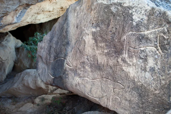 QOBUSTAN Prehistorical petroglyphs rock-painting in Azerbaijan — Stock Photo, Image