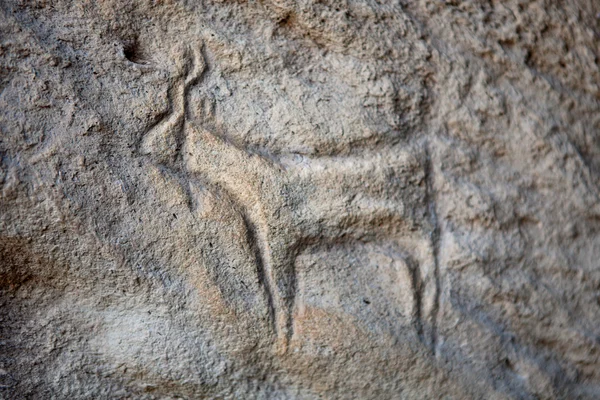 Qobustan förhistoriska hällristningar rock-målning i Azerbajdzjan — Stockfoto